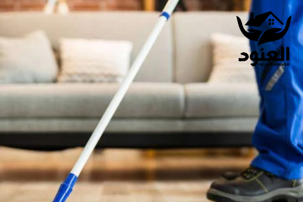 شركة مكافحة حشرات ببيشة 