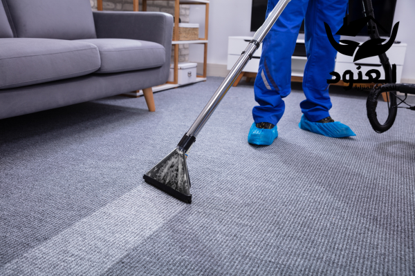 شركة تنظيف سجاد ببيشة